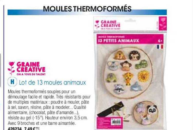 Lot De 13 Moules Animaux Graine Créative