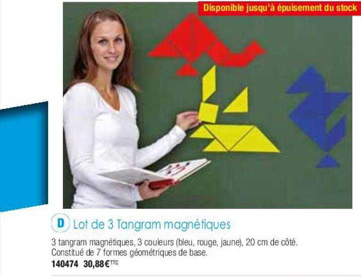 lot de 3 tangram magnétiques
