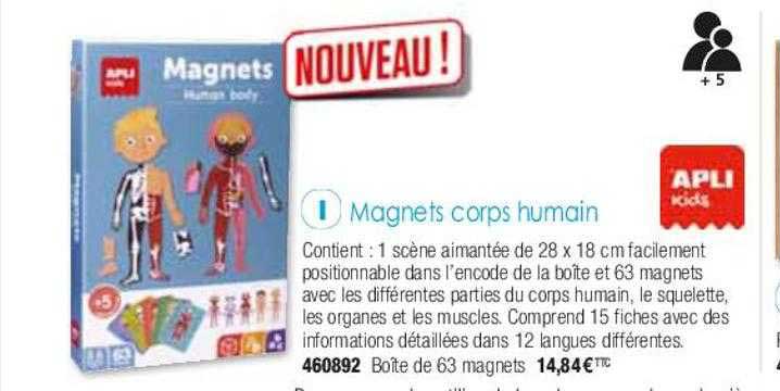 magnets corps humain apli kids