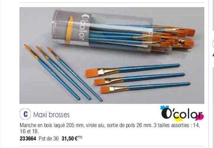 Maxi Brosses O'color