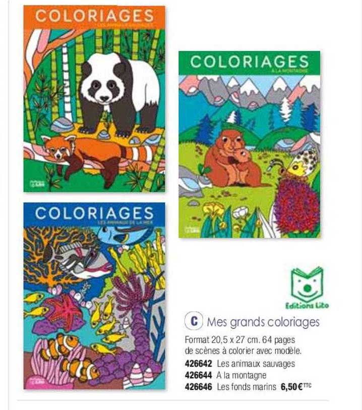 mes grands coloriages