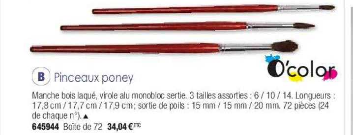 pinceaux poney o'color