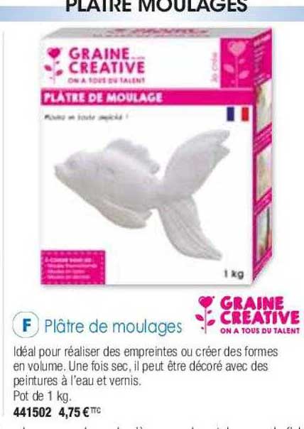 plâtre de moulages graine créative