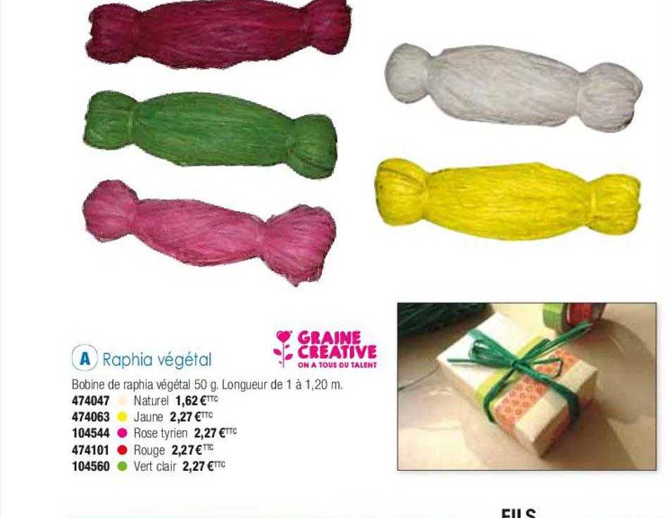 raphia végétal graine créative