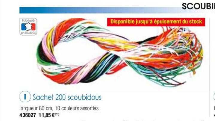 Sachet 200 Scoubidous