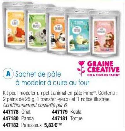 Sachet De Pâte à Modeler à Cuire Au Four Graine Créative