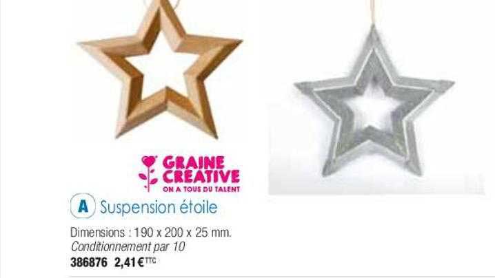suspension étoile graine créative