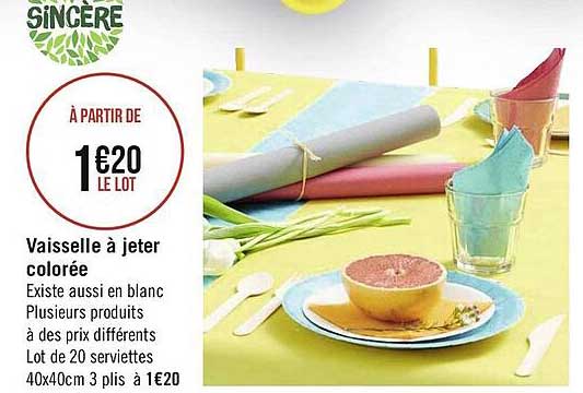 vaisselle à jeter colorée sincère