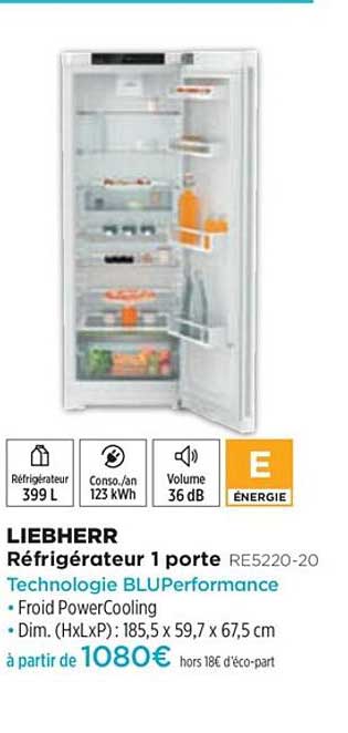 Réfrigérateur 1 Porte Liebherr Re5220-20