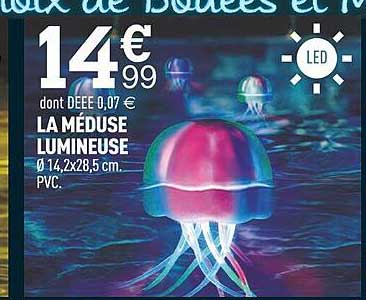 La Méduse Lumineuse