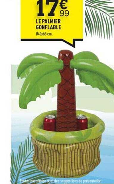 Le Palmier Gonflable
