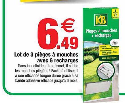 lot de 3 pièges à mouches avec 6 recharges