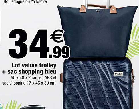 lot valise trolley + sac shopping bleu