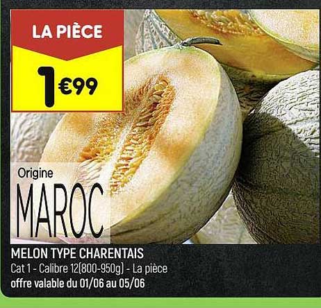 melon type charentais