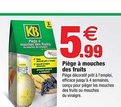 piège à mouches des fruits