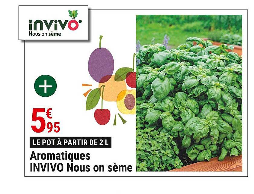 aromatiques invivo nous on sème