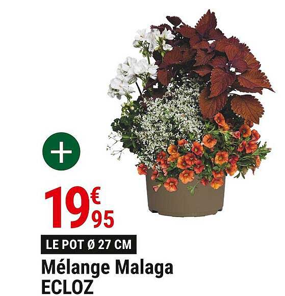 mélange malaga ecloz
