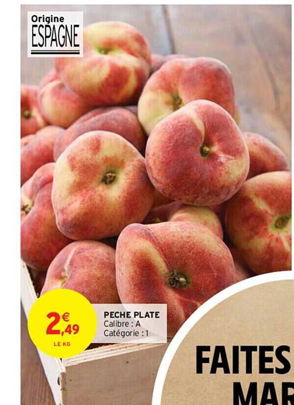 Pêche Plate