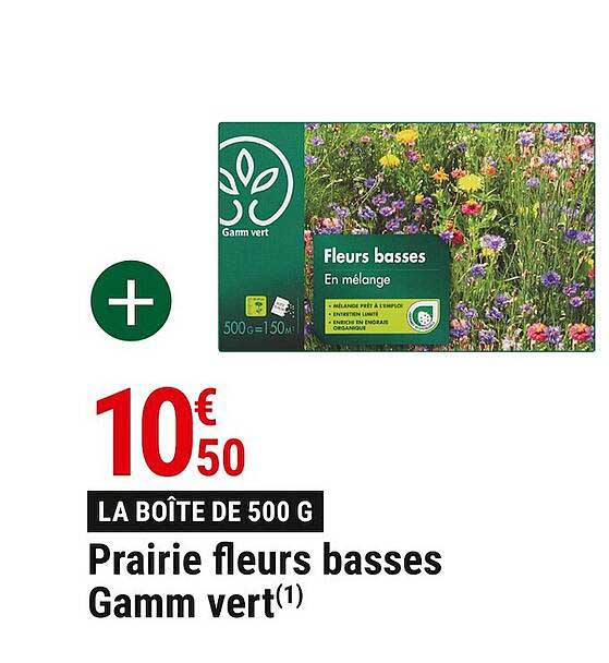 prairie fleurs basses gamm vert