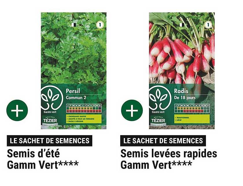 semis d'été gamm vert, semis levées rapides gamm vert