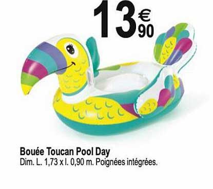 bouée toucan pool day
