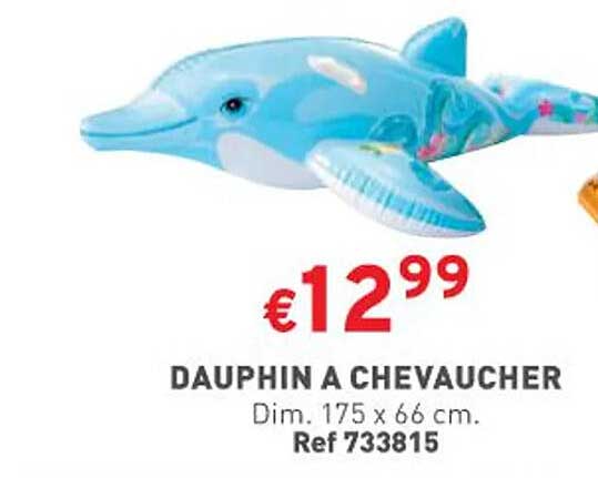 dauphin à chevaucher