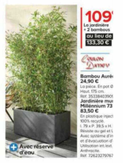 la jardinière + 2 bambous