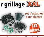 set d'attaches pour plantes