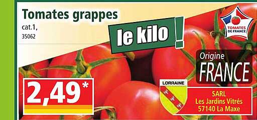 Tomates Grappes