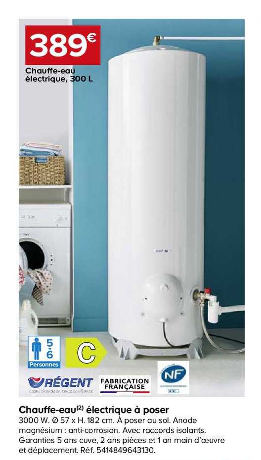 chauffe eau électrique à poser 300 litres régent