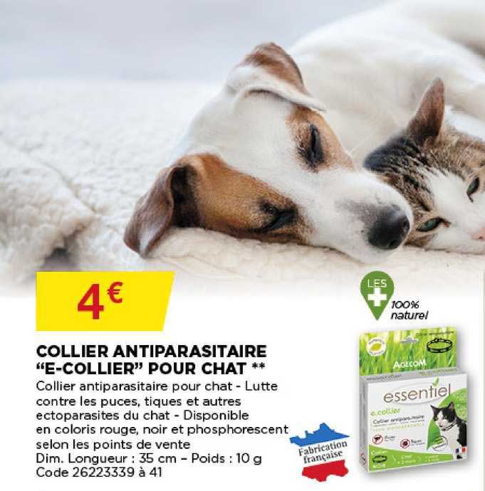 collier antiparasitaire e collier pour chat