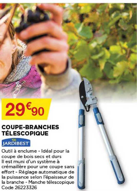 Coupe Branches Télescopique Jardibest