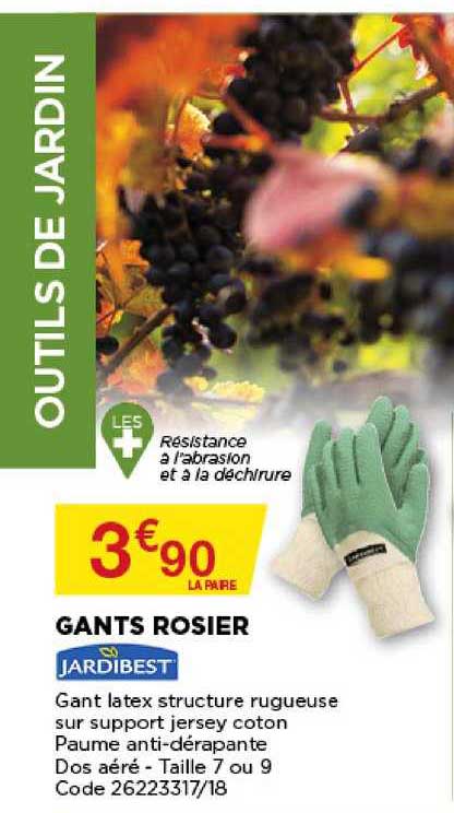 gant rosier jardibest