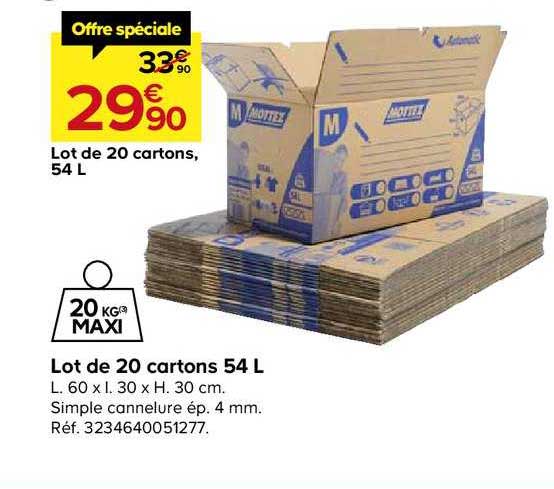 lot de 20 cartons 54 litres simple cannelure