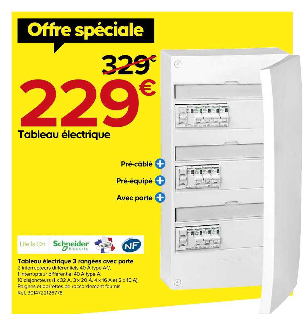 tableau électrique 3 rangées avec porte schneider