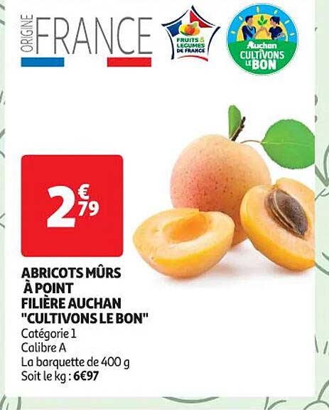 abricots mûrs à point filière auchan "cultivons le bon"