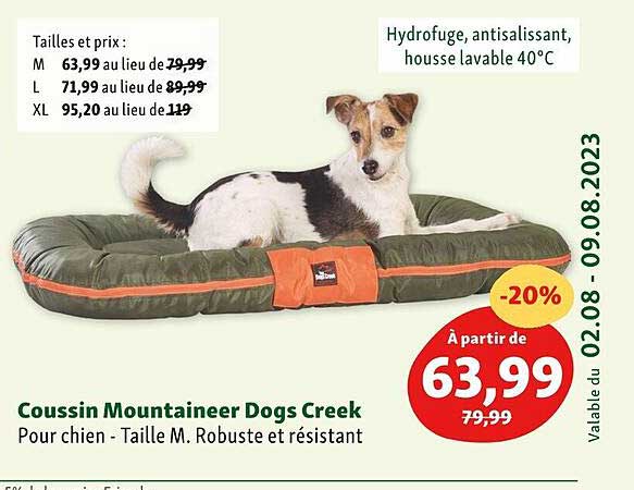 coussin mountaineer dogs creek