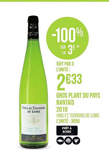 gros plant du pays nantais 2019 vins et terroirs de loire -100% sur le 3e