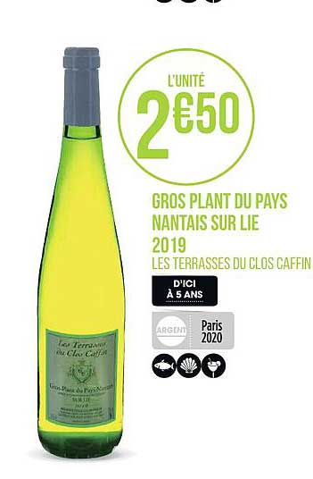 gros plant du pays nantais sur lie 2019 clos caffin