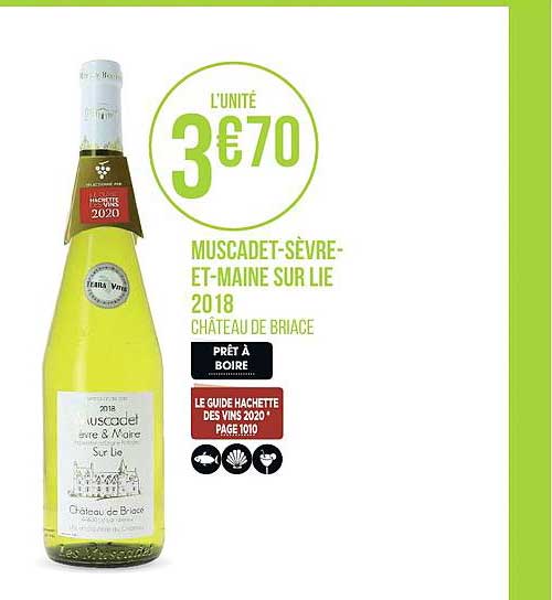 muscadet sèvre et maine sur lie 2018 château de briace
