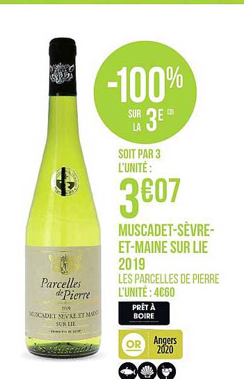 Muscadet Sèvre Et Maine Sur Lie 2019 Parcelles De Pierre -100% Sur Le 3e