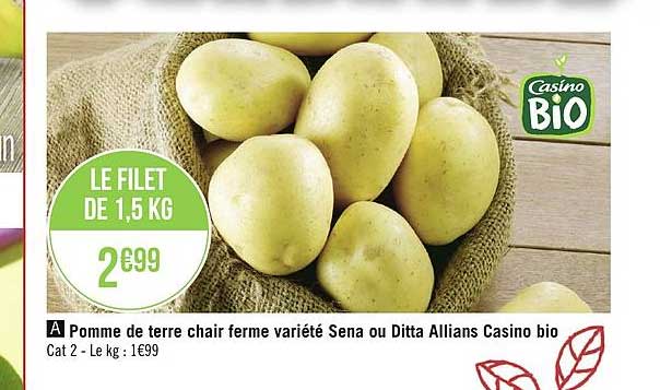 pomme de terre chair ferme variété sena ou ditta allians casino bio