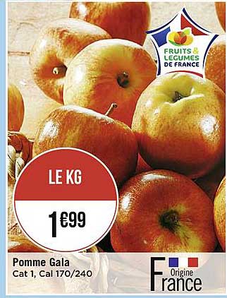 pomme gala cat 1, cal 170 240