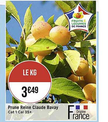 prune reine claude  bavay cat 1 cal 35+