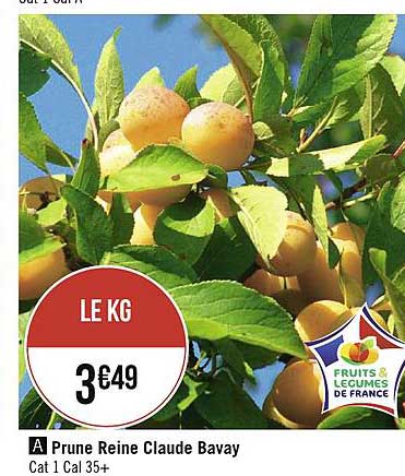 prune reine claude bavay