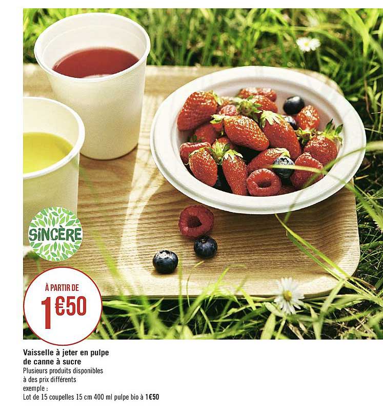 vaisselle à jeter en pulpe de canne à sucre sincère