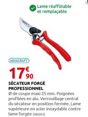 sécateur forgé professionnel aquacraft