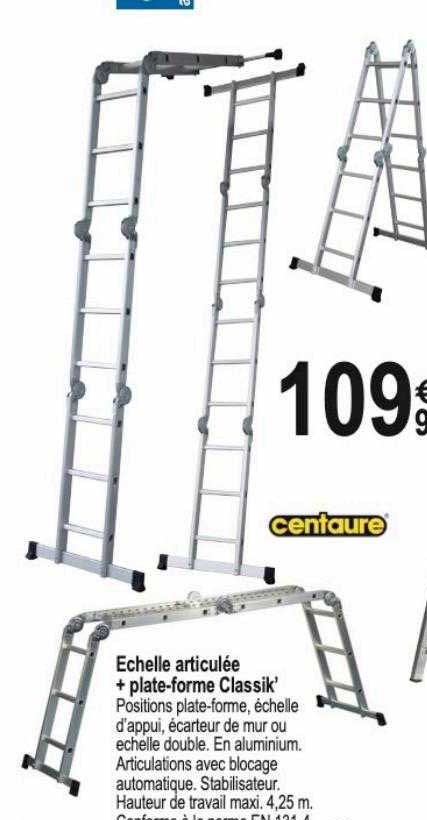 échelle articulée + plate-forme classik' centaure