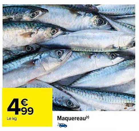 Maquereau
