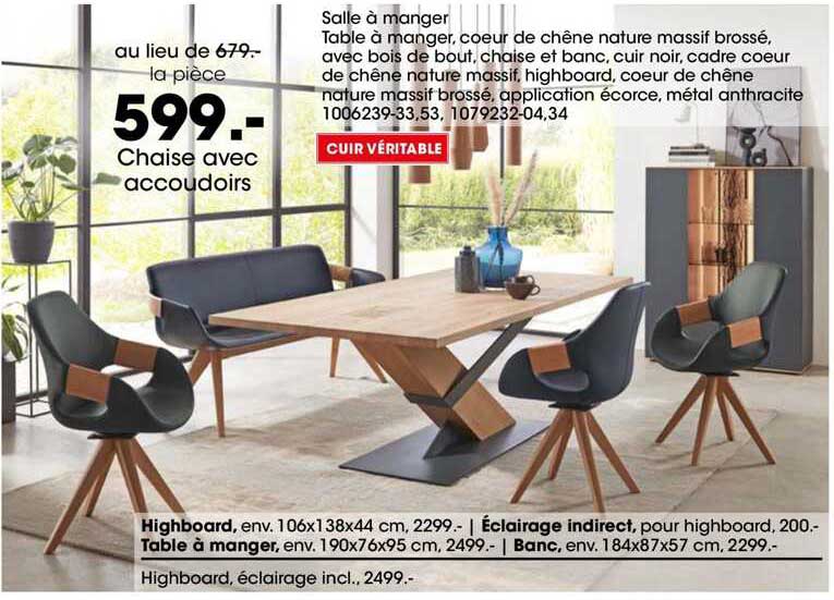 chaise avec accoudoirs